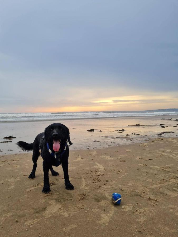 Old Road Cottage Pet Friendly Outdoors Beaches Нит Экстерьер фото